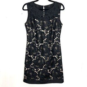White House Black Market Guipure Lace Dress Black Beige Lined Sheath 6 Small